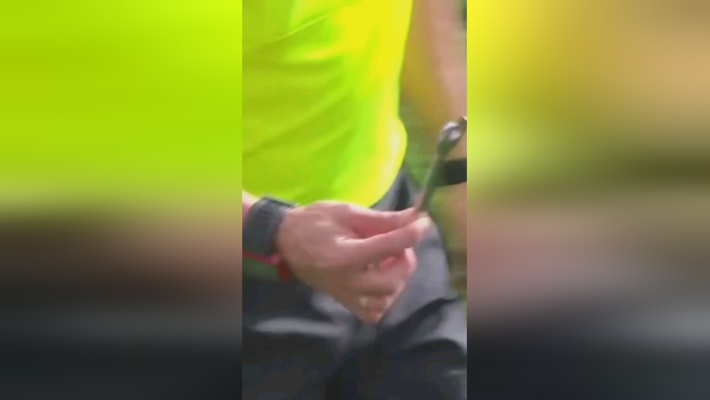 高度敏